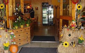 Kis-Duna Motel & Camping